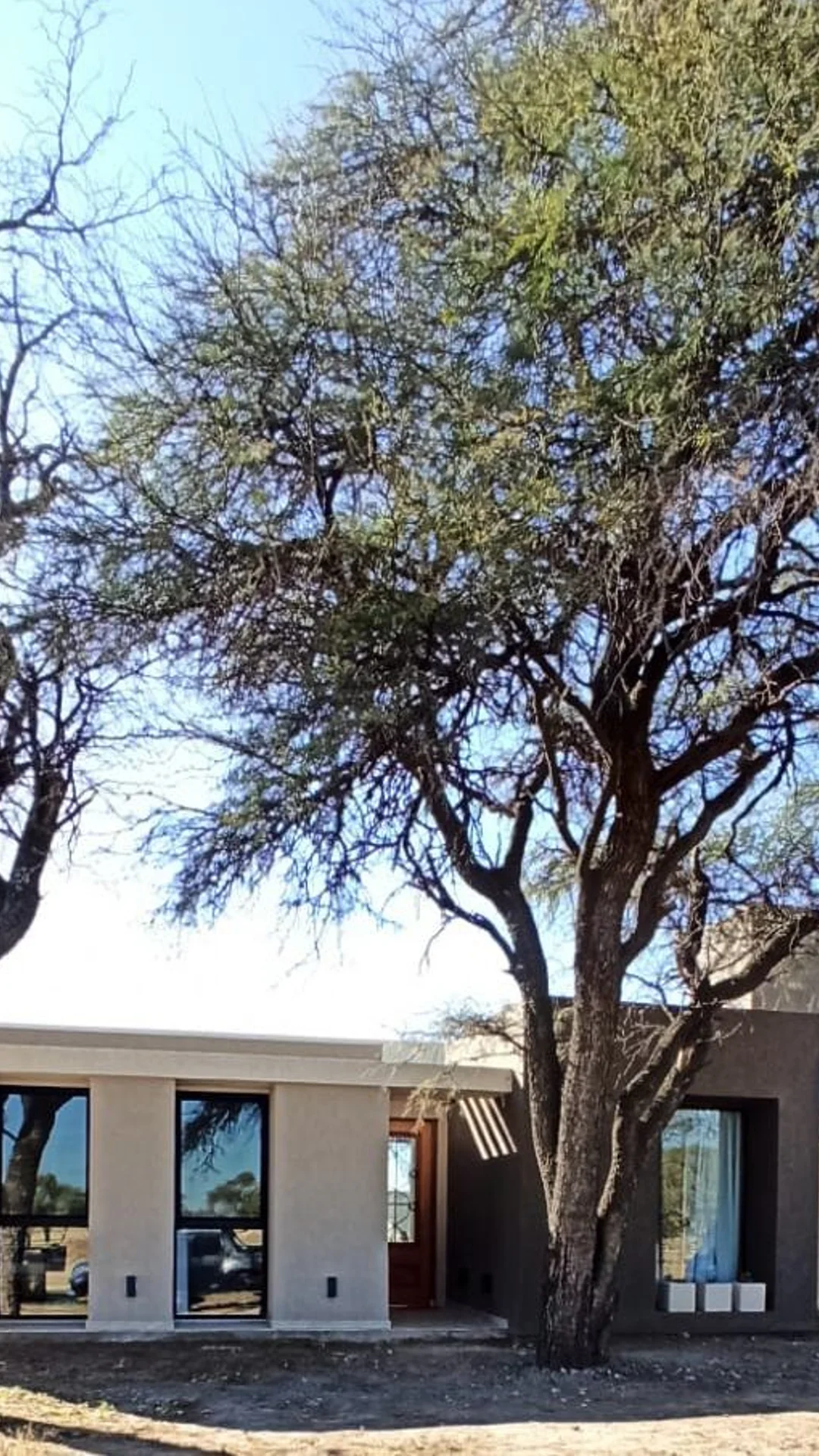 Foto de una casa en 7 Soles construída con el sistema de Steel Framing por Vértice Construcciones en la que se observa la fachada de la casa revestida con el sistema EIF´s, varias ventanas de techo a piso y un árbol en el frente, detrás del cual se encuentra la puerta de ingreso de madera con un vidrio en el centro detrás de unas rejas negras ornamentadas