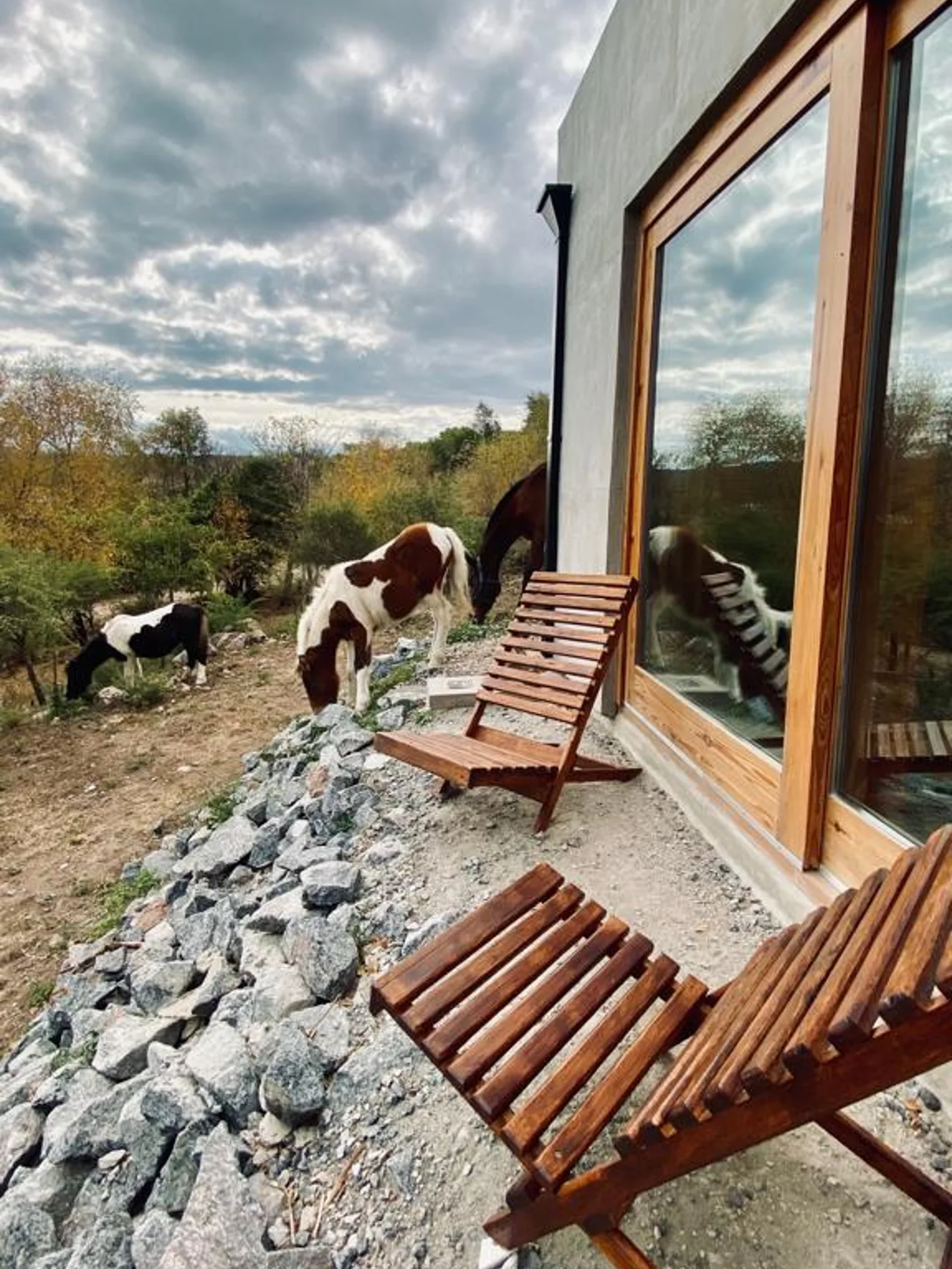 Foto de una casa en Bialet Massé construída con el sistema de Steel Framing por Vértice Construcciones en la que se observa parte de la fachada de la casa con un acabado símil hormigón visto y una puerta-ventana con aberturas de madera, dos sillas de madera en el exterior y tres caballos detrás de la casa
