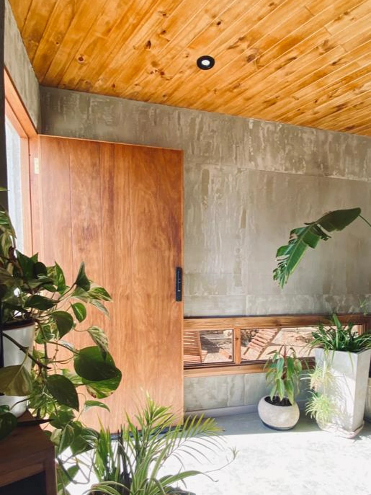 Foto de una casa en Bialet Massé construída con el sistema de Steel Framing por Vértice Construcciones en la que se observa el ingreso principal de la casa con la puerta principal de madera lisa, detrás de la cual hay una ventana alargada con abertura de madera; el piso es de hormigón alisado color gris plomo, el techo de madera y hay varias macetas de hormigón con plantas de clima seco
