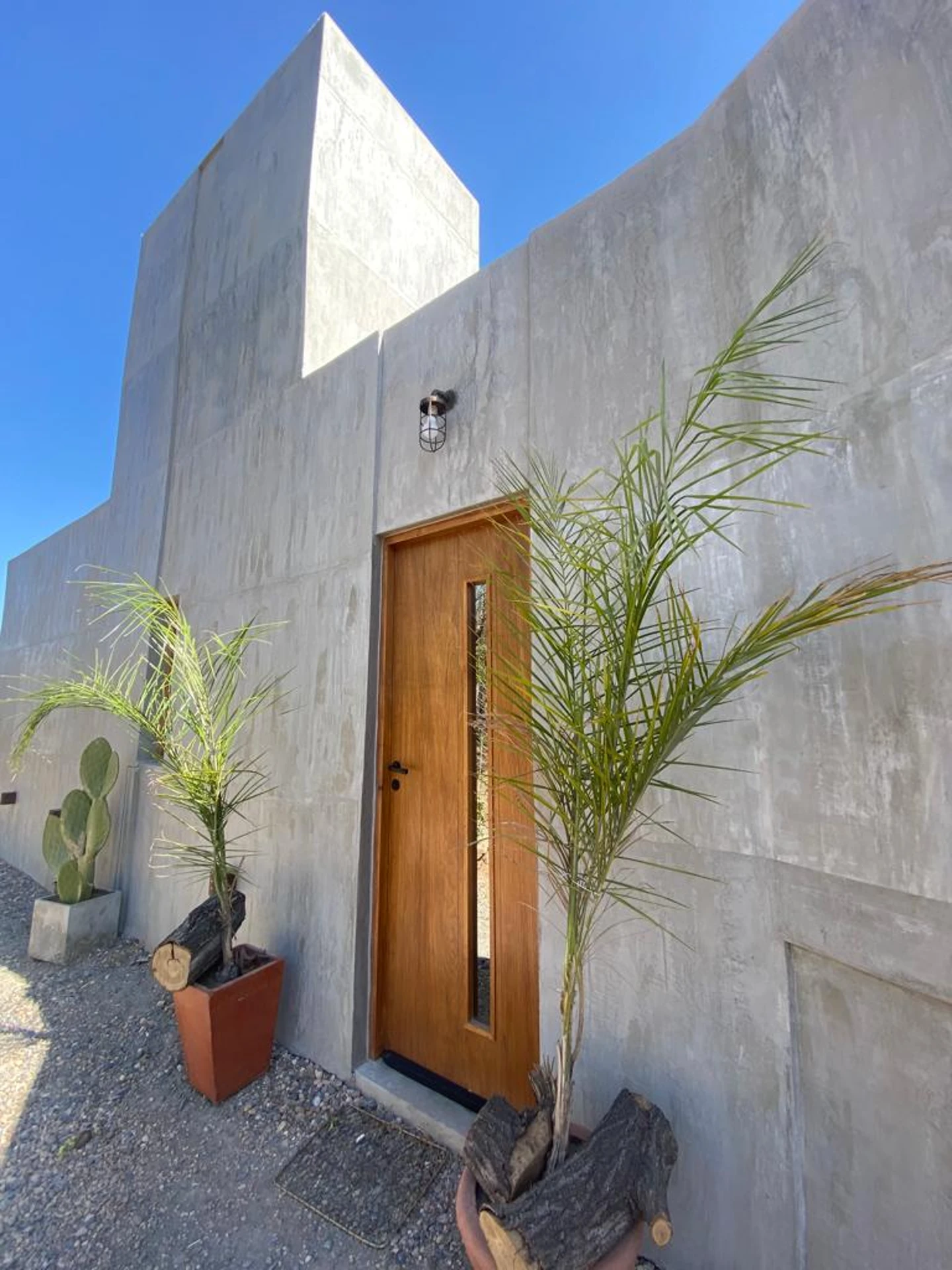 Foto de una casa en Bialet Massé construída con el sistema de Steel Framing por Vértice Construcciones en la que se observa en primer plano una fachada de la casa con un acabado símil hormigón visto y una puerta de madera con un vidrio vertical estrecho flanqueada por dos macetas con un árbol pequeño cada una
